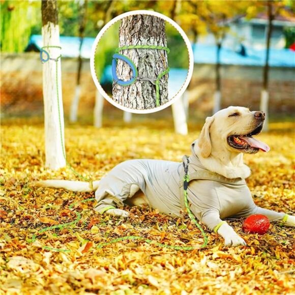 15FT Training Leash for Dogs, Nylon Rope Dog Leash with 2 Swivel Hooks & Hnadle - Picture 6 of 7